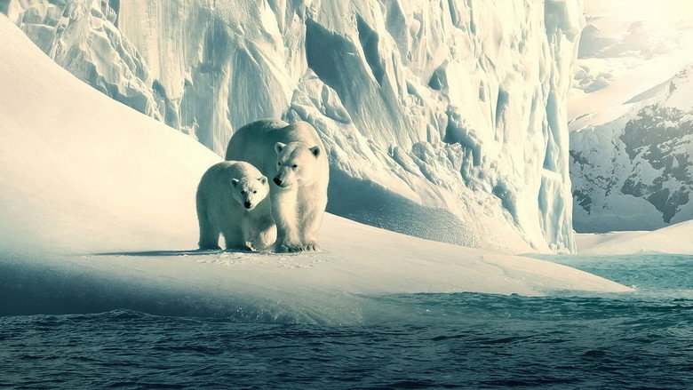 Cena de Nosso Planeta, série documental sobre a vida na Terra e a crise ambiental